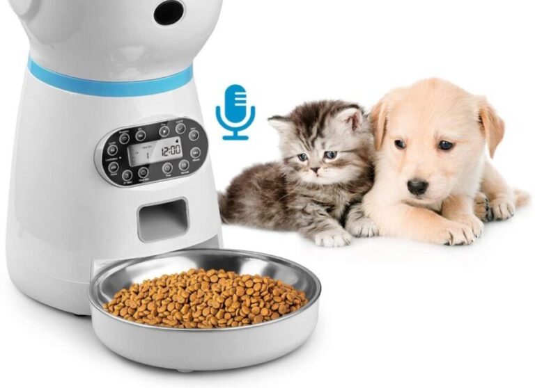 4 Best Automatic Pet Feeder US 2021