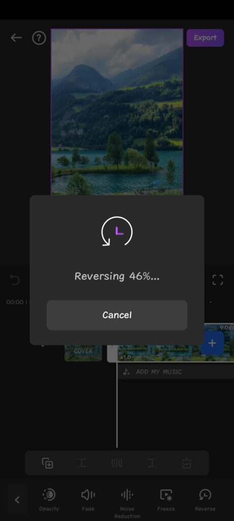 How to Reverse Audio on Instagram 