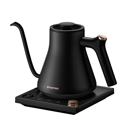 Intasting Electric Gooseneck Kettle